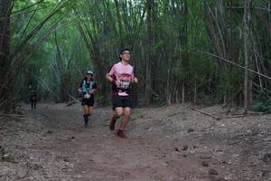 BIB: 
                            <button type="button" onclick="openModal(4102329)" class="btn btn-primary btn-sm float-right btn-popup" data-toggle="modal" data-target=".modal-high-quality">
                        <i class="fas fa-shopping-cart"></i> Add to Cart
                    </button>
                                            <button type="button" onclick="isThisMe(4102329, true)" class="btn btn-success btn-sm float-right btn-popup btn-isme hidden" data-toggle="tooltip" data-placement="bottom" title="นี่คือรูปของคุณใช่ไหม คลิกที่นี่เพื่อเอาเข้าอัลบั้ม">
                        <i class="fas fa-plus"></i> Add to album
                    </button>
                    <button type="button" onclick="isThisMe(4102329, false)" class="btn btn-warning btn-sm float-right btn-popup btn-isnotme hidden">
                        <i class="fas fa-ban"></i> Remove from album
                    </button>